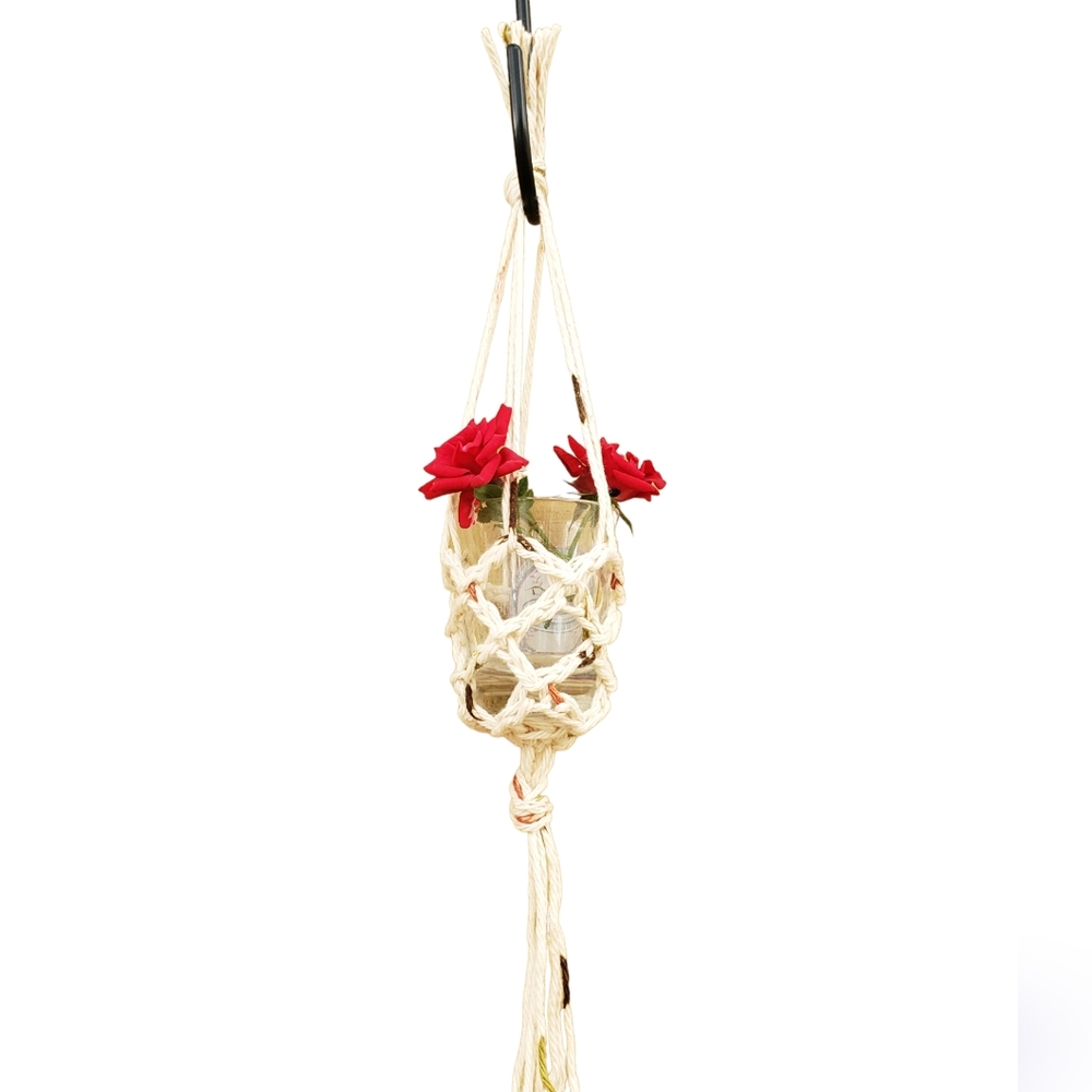 Plant Hanger